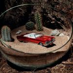 album image Тараканы Меланхолия Drive 2