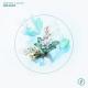 Marin Hoxha - Dreamer (ft. Ane Flem) (Magic Free Release)