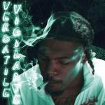 album image Fears (5iver’s Interlude) Versatile Vigilante - EP