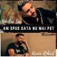 Nikolas Sax feat. Urucu Robert - Am Spus Gata Nu Mai Pot