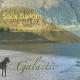 Salix Balkan - The Wall
