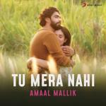 album image Tu Mera Nahi Tu Mera Nahi - Single