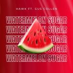 album image Watermelon Sugar (Ft. Gus Collen) Watermelon Sugar - Single