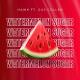 Hawk - Watermelon Sugar (Ft. Gus Collen)