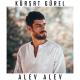 Mamed Faramuzov - Alev Alev