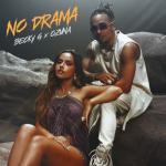album image No Drama No Drama - Single