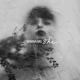 Winona Oak - SHE