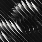 album image Sensory Division Organ