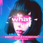 album image What If What If (feat. Hannah Ellis) - Single