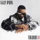 Fally Ipupa feat. Ninho - Likolo (feat. Ninho)