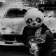 𝐭.𝐦𝐞.𝐝𝐩𝐦𝐦𝐮𝐳 - Macly - My Bag