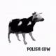 Cypis - Gdzie jest biały węgorz? (Zejście)