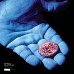 album image See You Soon The Blue Room - EP