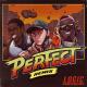 Logic feat. Lil Wayne & ASAP Ferg - Perfect (Remix) (Intro - Dirty)