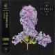 Fthmlss, Atlantic Chill - Lilac