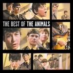 album image Boom Boom The Best of the Animals