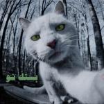 album image Bestek Now Bestek Now - Single