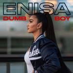 album image Dumb Boy Dumb Boy - Single