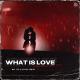 Max Fail, Agatino Romero - What Is Love