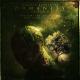 Thomas Bergersen feat. Audrey Callahan - The Stars Are Coming Home (feat. Audrey Callahan)