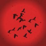 album image Летать как птица Лететь как птица - Single
