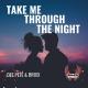 Dee Pete, Brixx - Take Me Through the Night