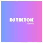 album image DJ TIBAN BAHANA PUI REMIX TERBARU FULL BASS _ DJ TIKTOK TERBARU 2020