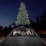 album image sympathy 4 the grinch sympathy 4 the grinch - Single
