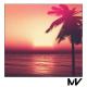 Markvard - Life