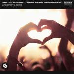 album image Wonderful Days (Original Mix) Wonderful Days - Single