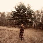 album image willow willow (the witch collection) - EP