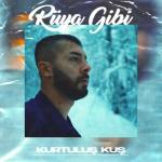 album image Ruya Gibi (BRB) Rüya Gibi - Single