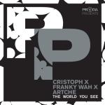 album image Solomun - Pink Floyd - Depeche Mode - Moby • AMNESIA (Vasho Mix) The World You See - Single