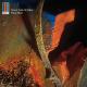 Massive Attack - Arabic [Rx]