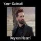 Keyvan Naseri - Yarım Gəlmədi
