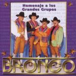 album image Naila Homenaje a los Grandes Grupos