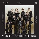 album image Flip A Coin Voice : The Future Is Now