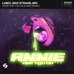 album image Annie Are You Ok Annie Are You Ok (LUM!X Remix) - Single