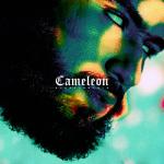 album image Mghayer Caméléon