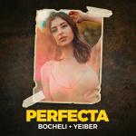 album image Perfecta (feat. Yeiber) Perfecta (feat. Yeiber) - Single