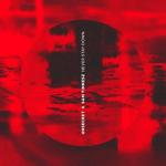 album image Never Stay Down Never Stay Down - Single