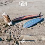 album image Canary Islands Canary Islands - Single