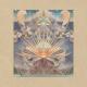 Junip - Black Refuge