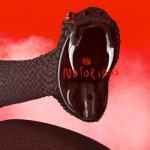 album image Notorious Notorious - Single