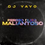 album image Perreo Duro Maliantoso Perreo Duro Maliantoso - Single