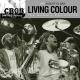 Living Colour - Cult of Personality