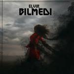 album image Elvir - Bilmedi (2021)