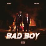 album image Bad Boy Bad Boy - Single