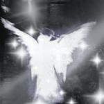 album image why`d you only call me when you`re high