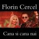 Florin Cercel - Cana si Cana nai